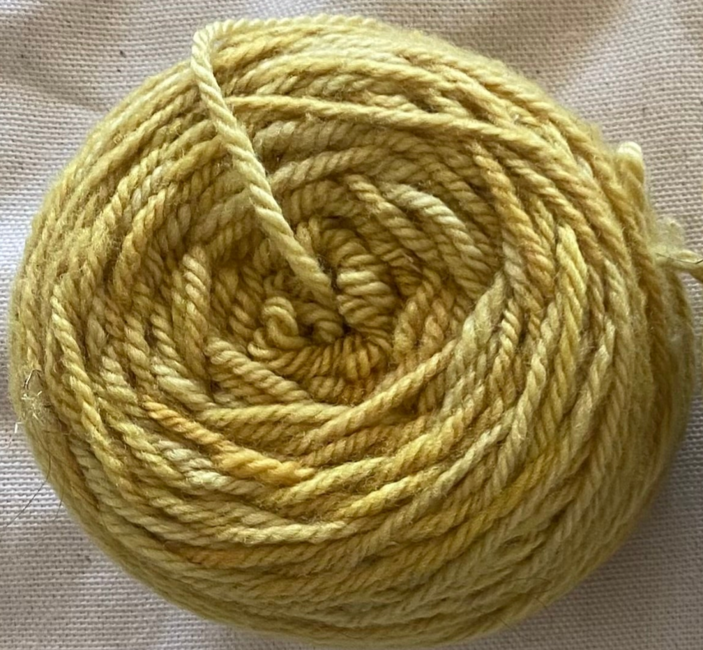 Ambrosia MUSTARD