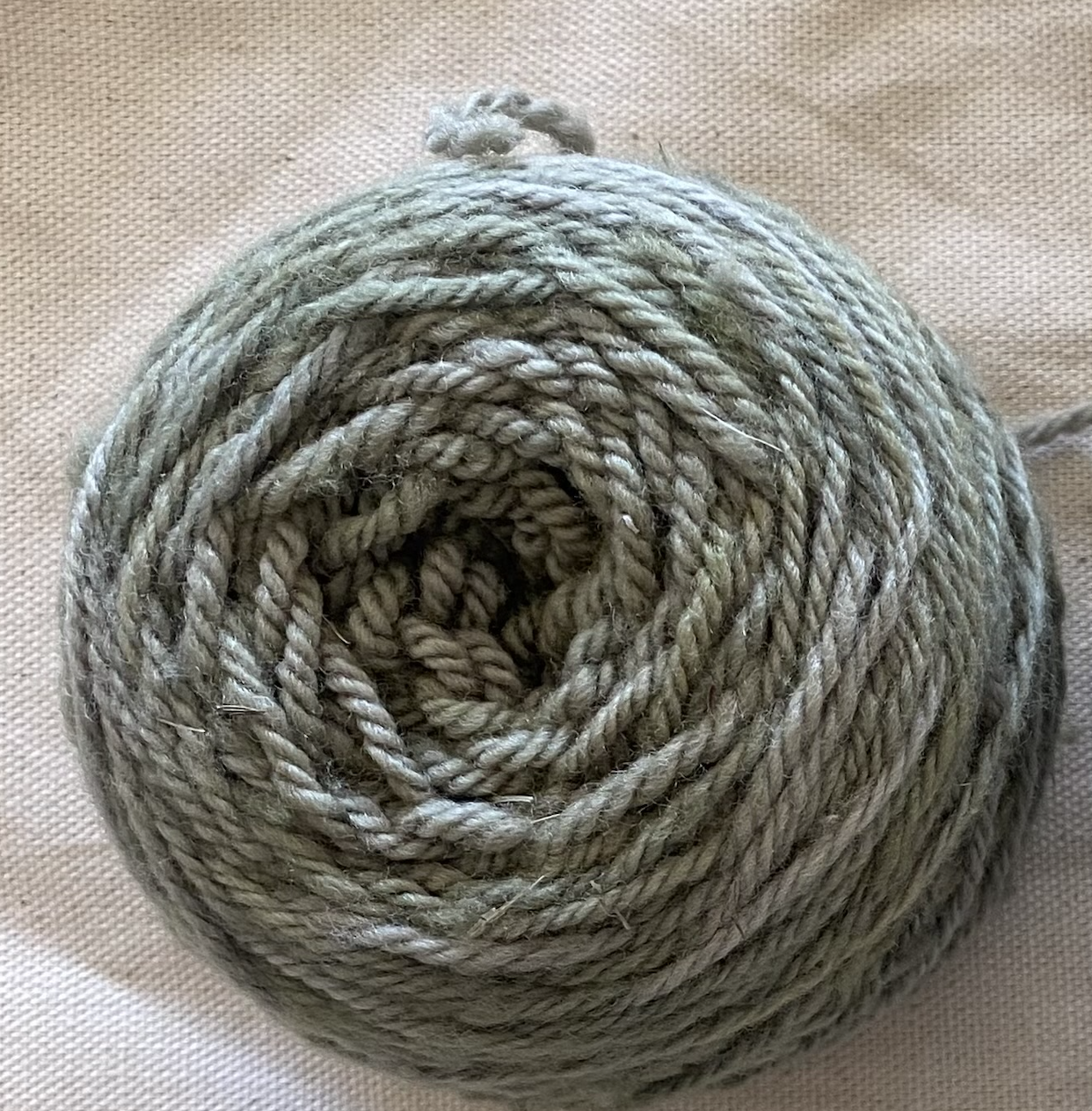 Ambrosia SAGE