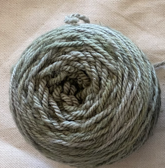 Ambrosia - Sage