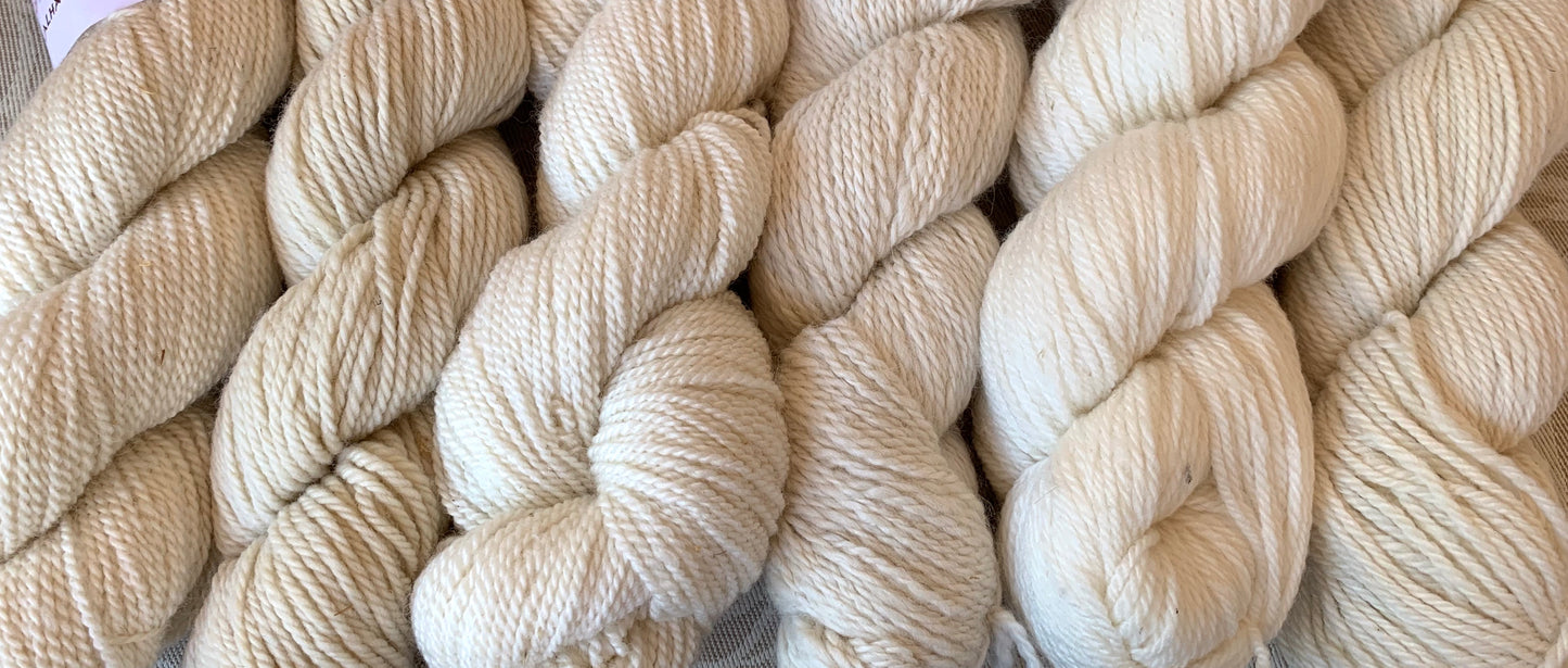 Ambrosia