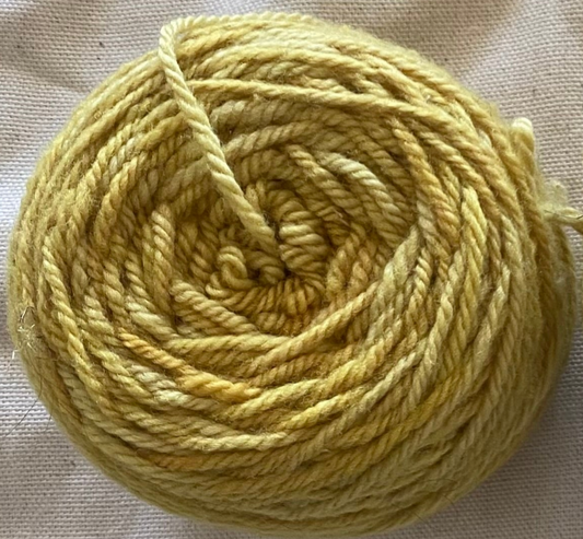 Ambrosia MUSTARD